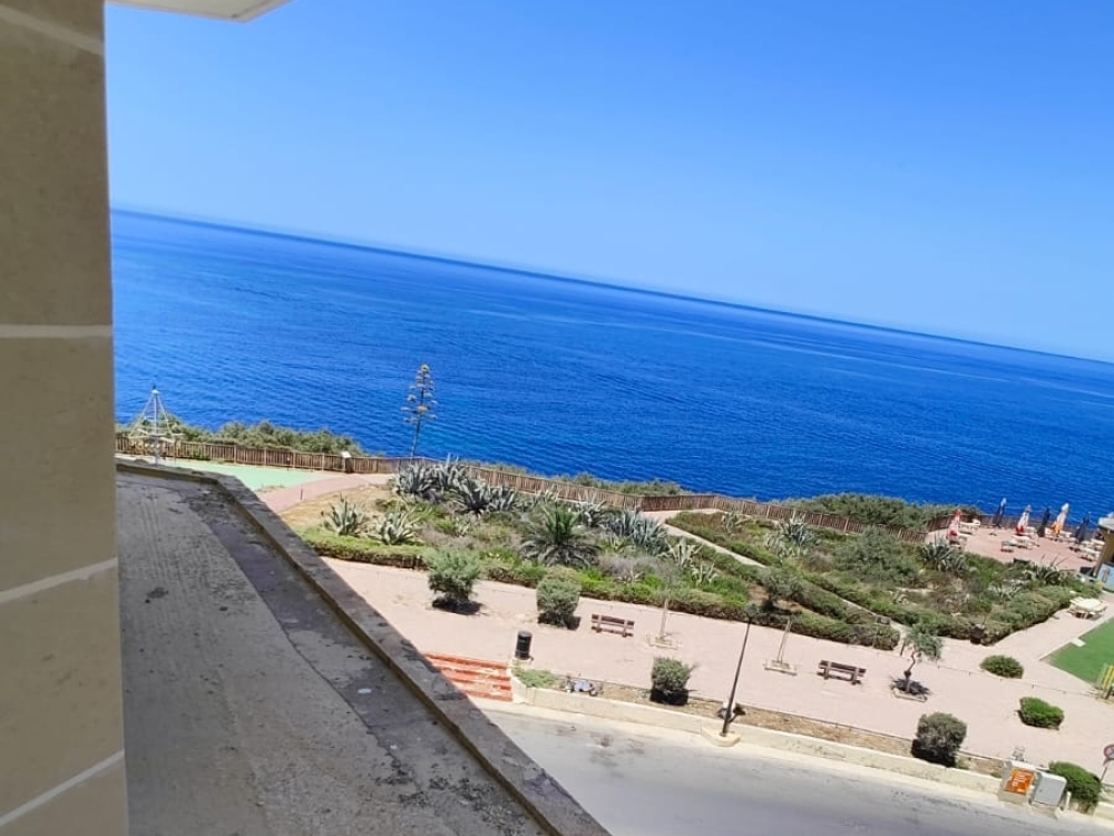 WhatsApp Image 2025-10-01 