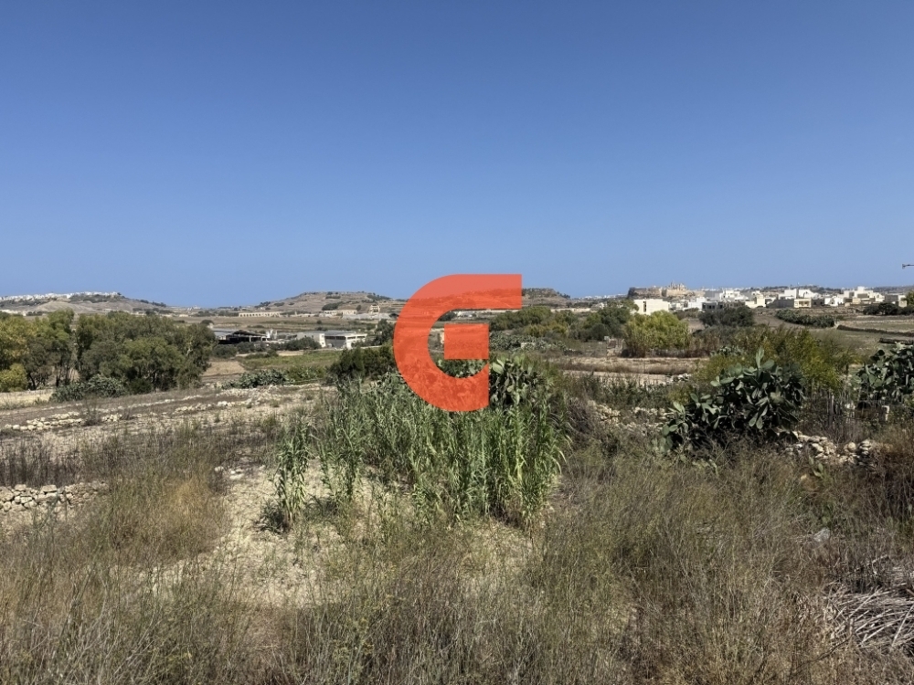 558615833_122157678476771857_7441124286063053778_n 558615833_122157678476771857_7441124286063053778_n